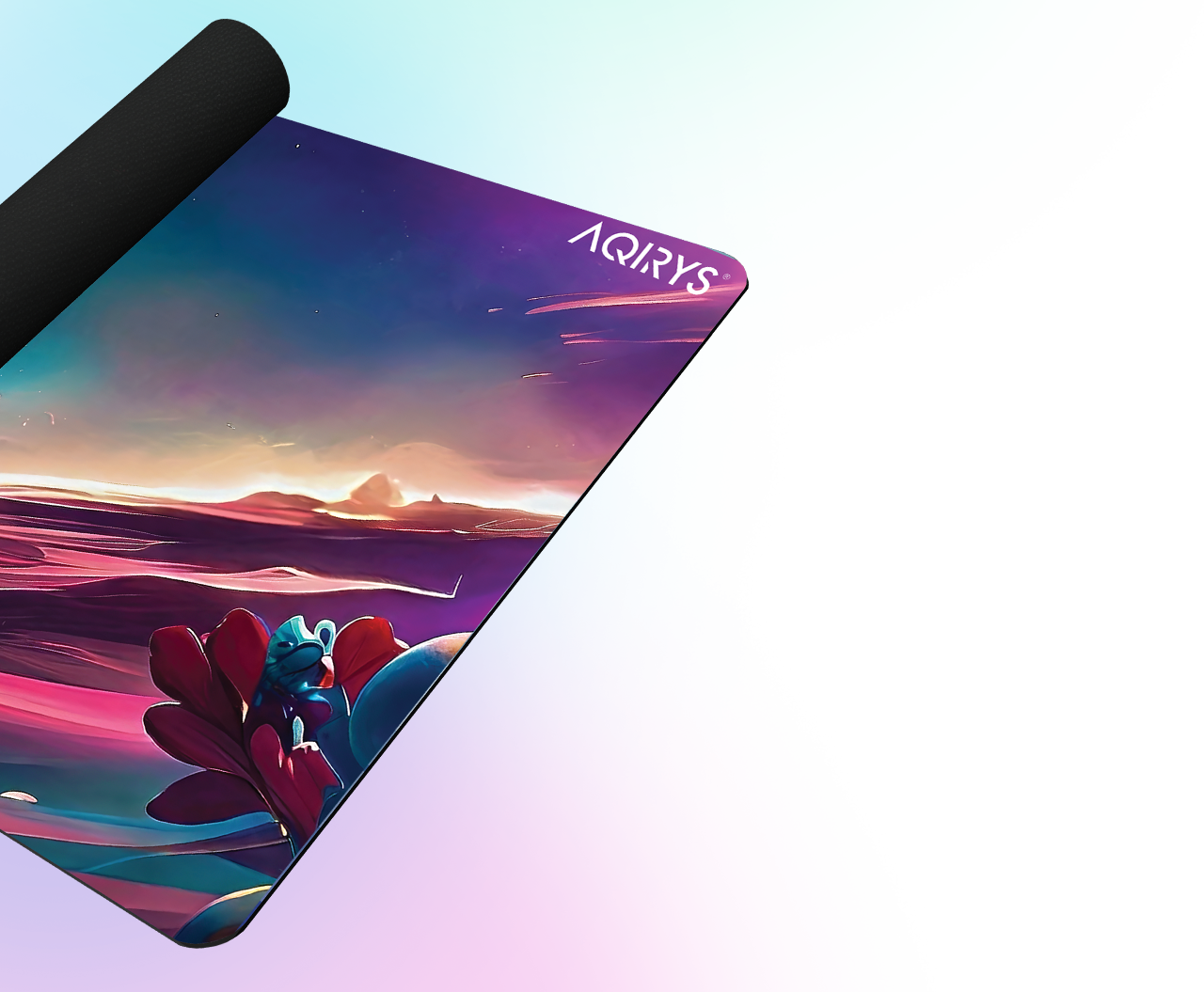 Gordonia Extra Large